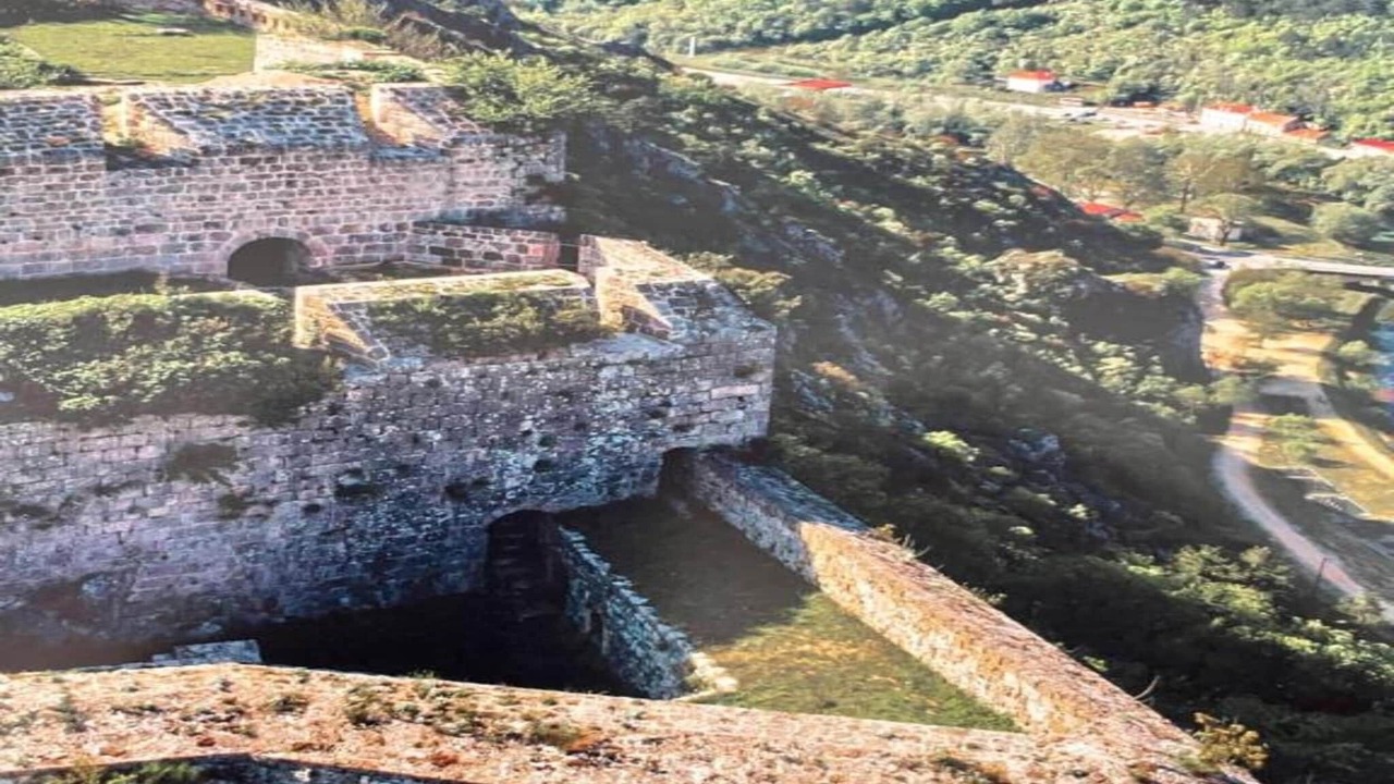 Photo of Others in Cove Parja