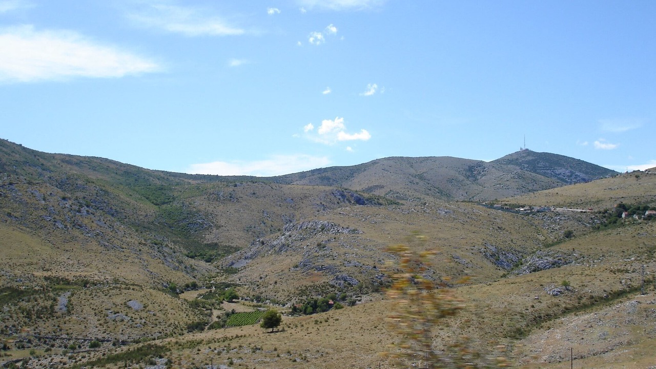 Photo of Others in Cove Parja