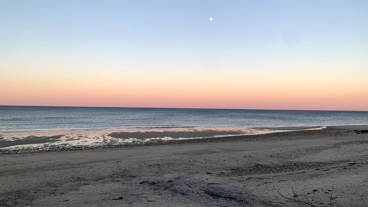 Photo of Others in Sagamore Beach
