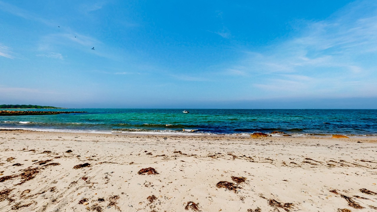 Photo of Others in West Falmouth