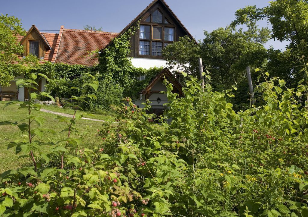 Photo of Outdoor in Kirchberg an der Raab