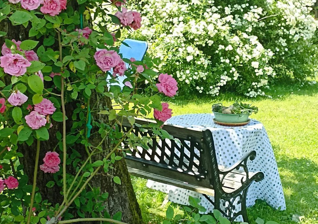 Photo of Outdoor in Harrachberg