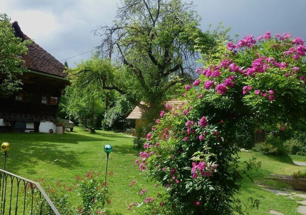 Photo of Outdoor in Harrachberg