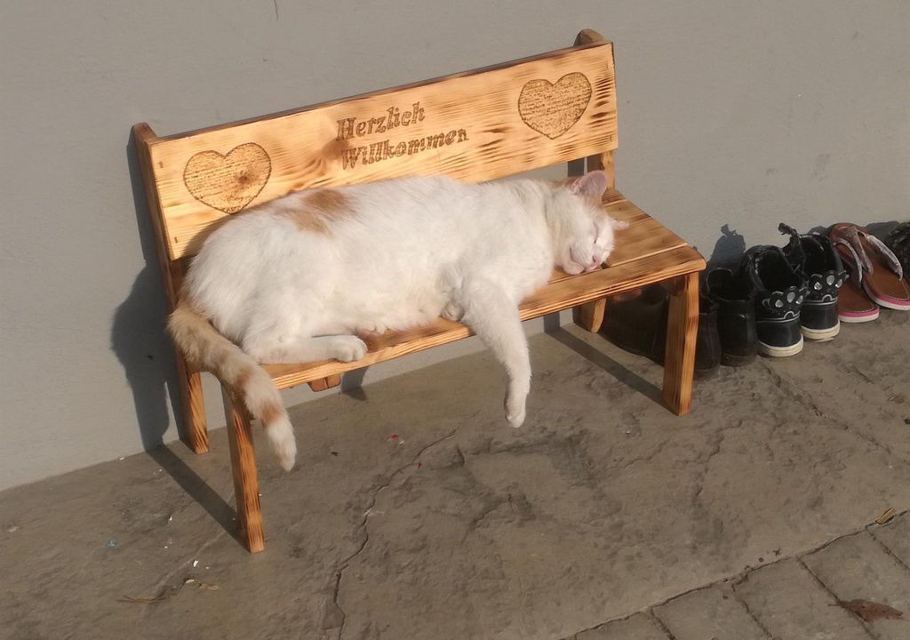 Photo of Others in Welten