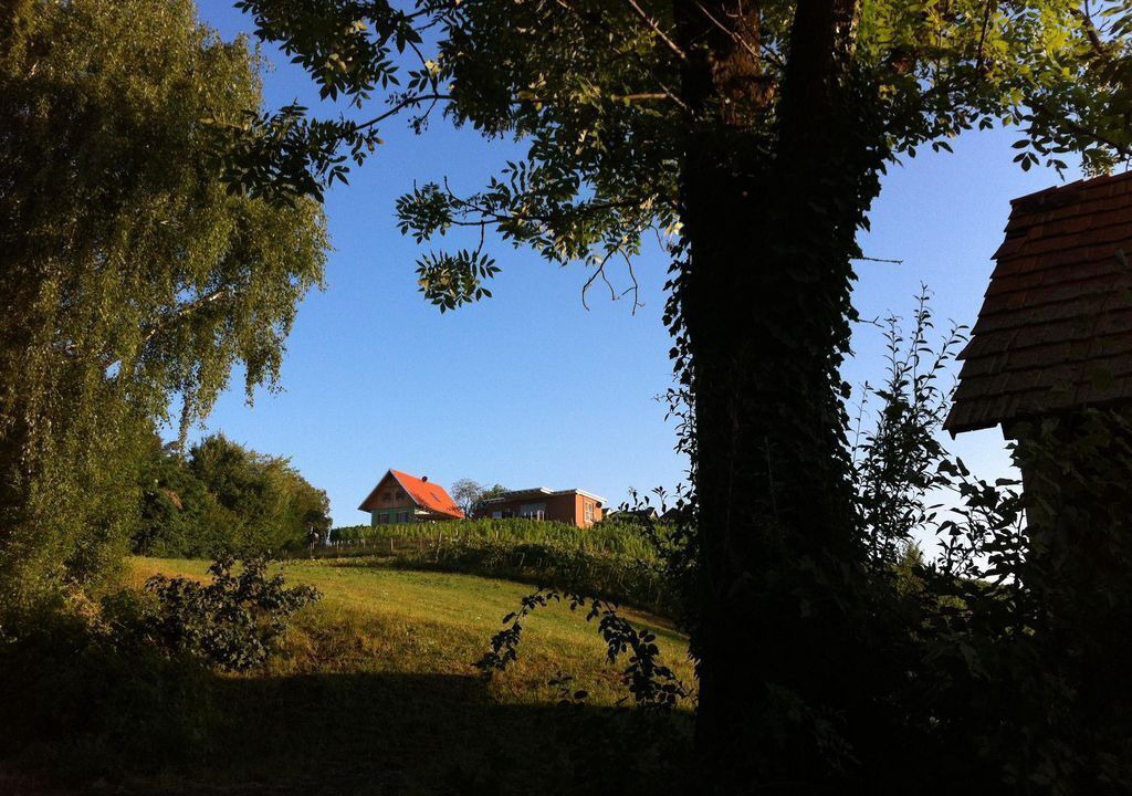 Photo of Others in Gemeinde Hohenbrugg-Weinberg
