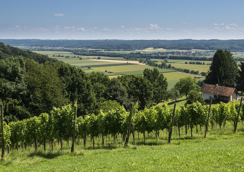 Photo of Others in Gemeinde Hohenbrugg-Weinberg