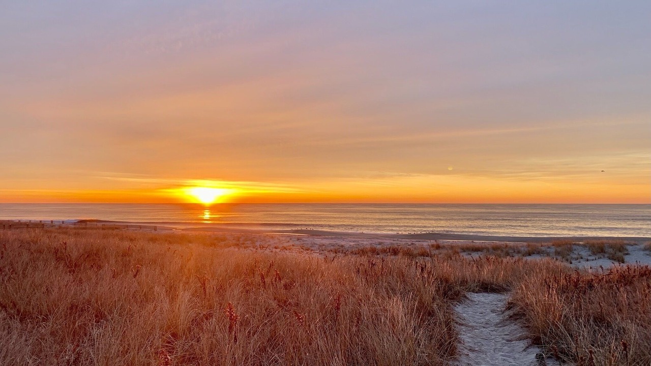 Photo of Others in Westhampton Beach