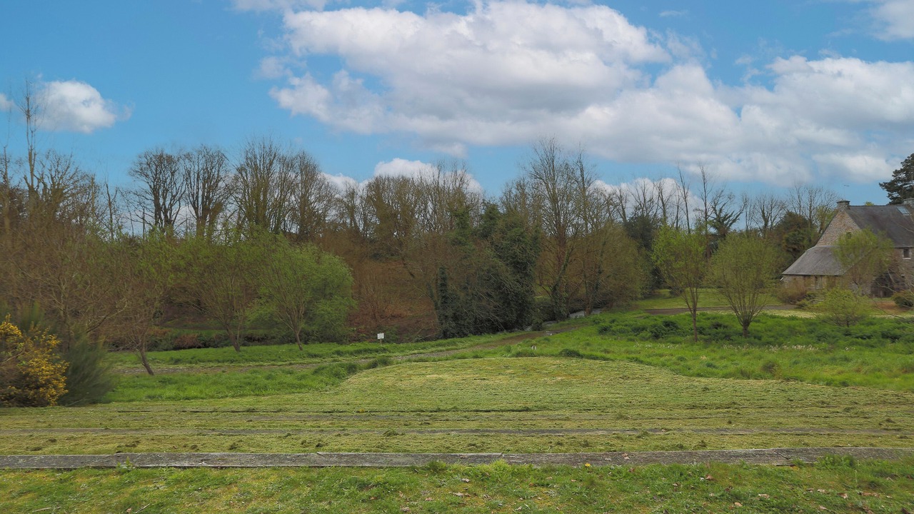 Photo of Others in Begard