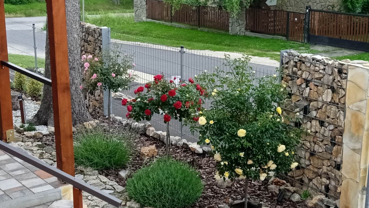 Photo of Outdoor in Zirc