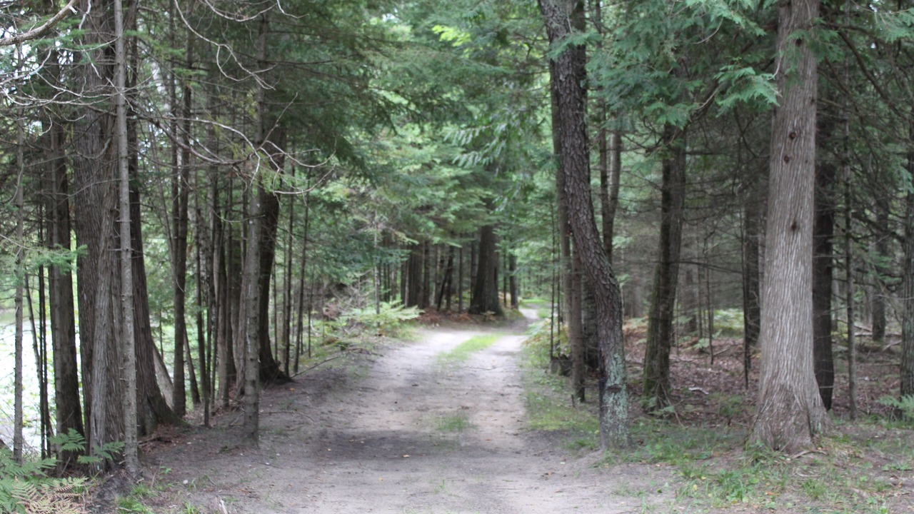 Photo of Outdoor in Harrison
