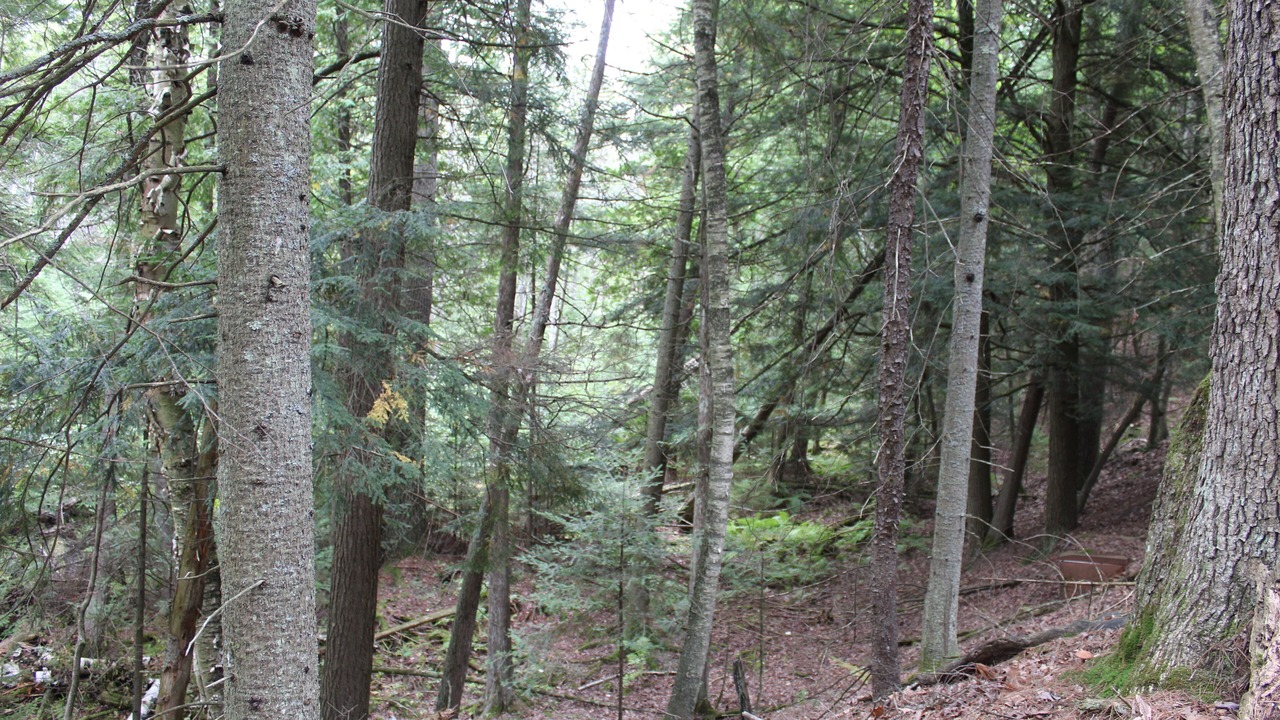 Photo of Others in Harrison
