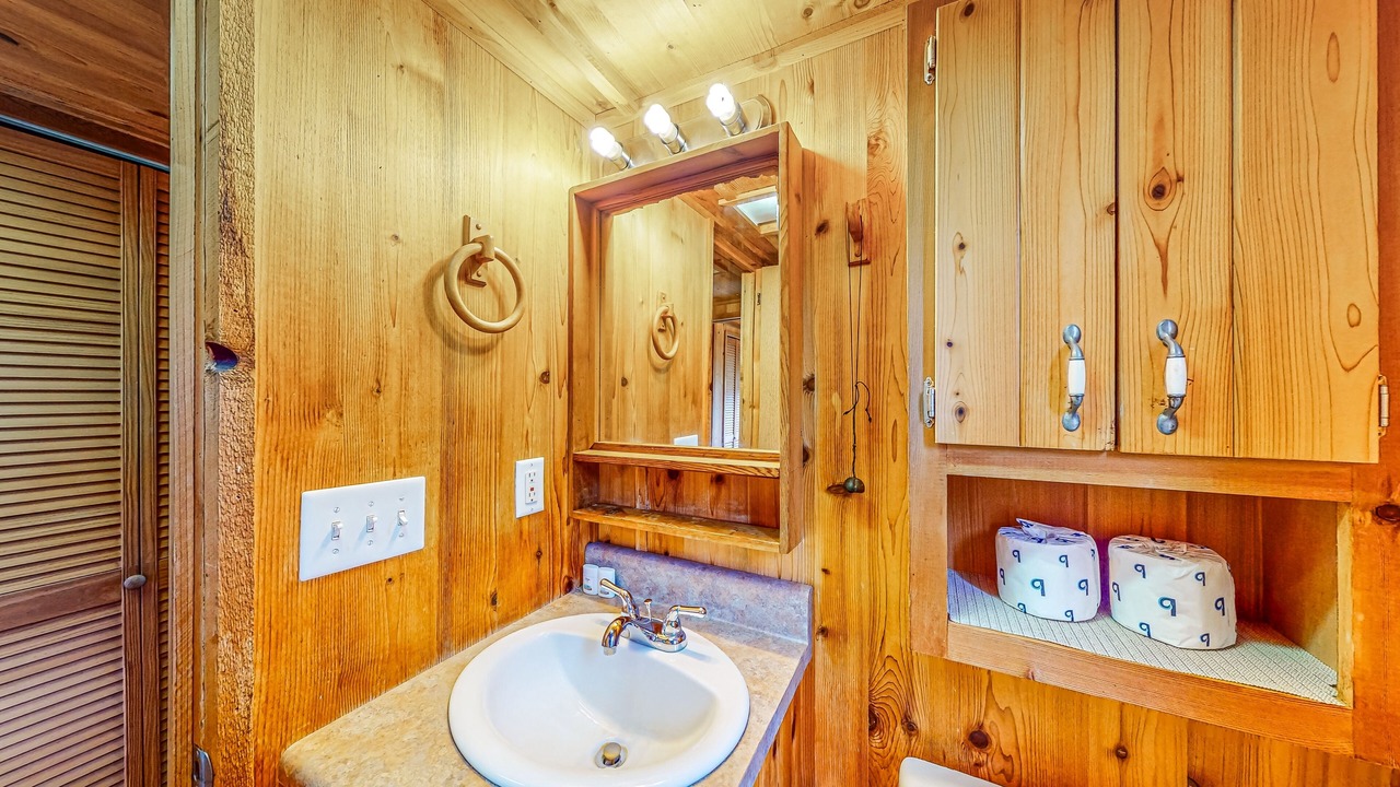 Photo of Bathroom in Hector