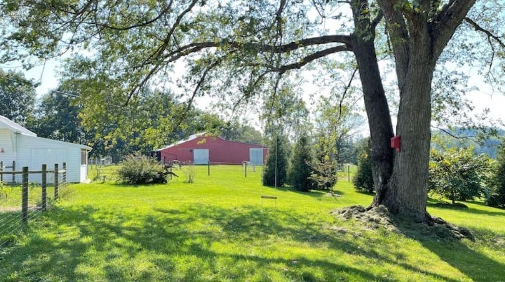 Photo of Outdoor in Waynesboro