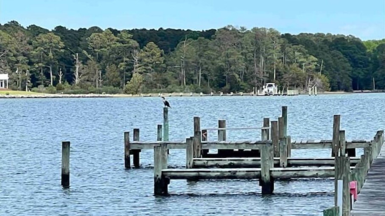 Photo of Others in North