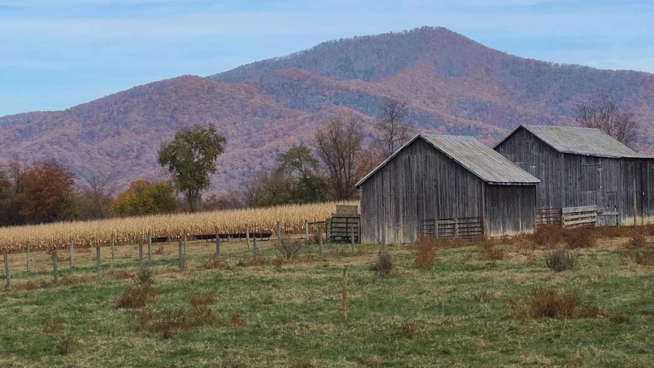 Photo of Outdoor in Luray