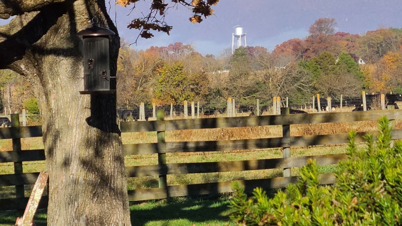 Photo of Outdoor in Luray