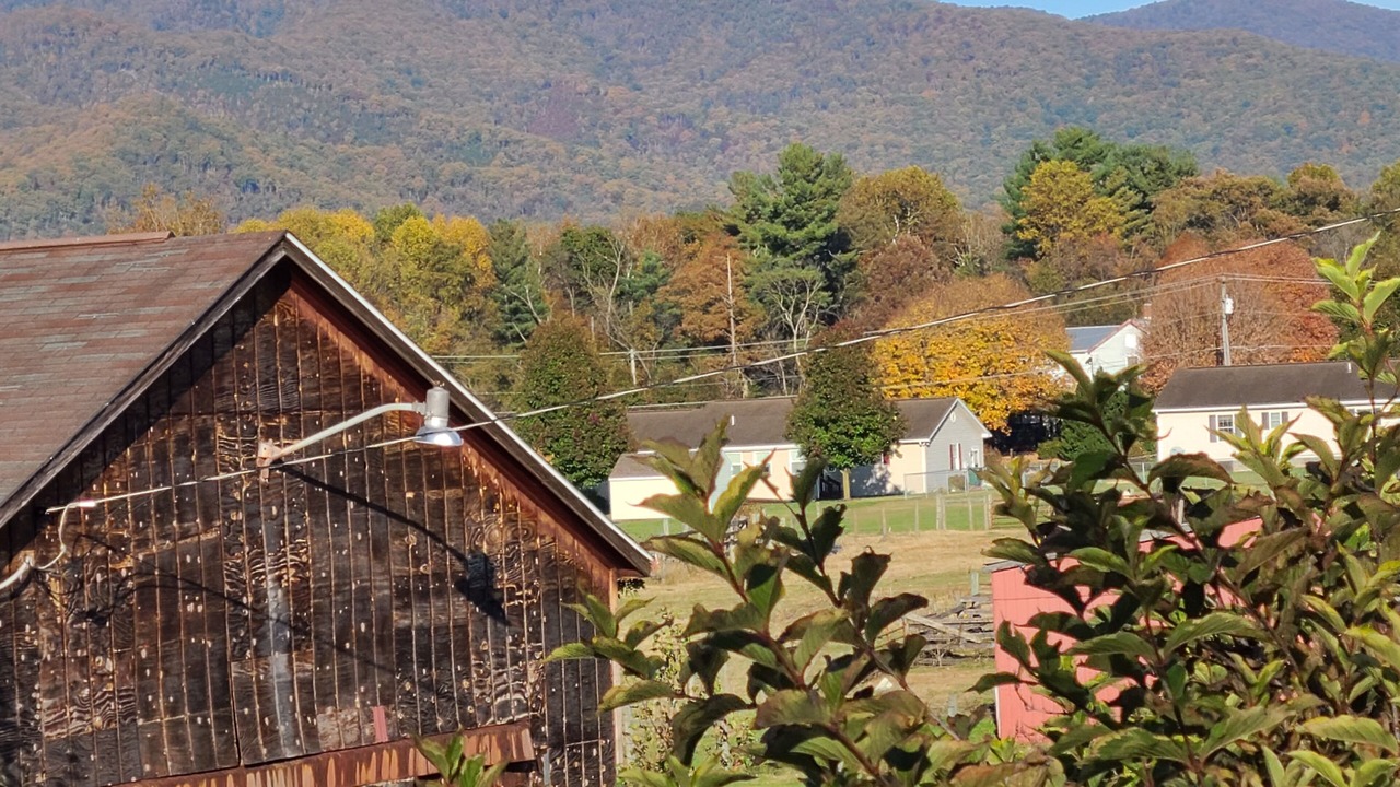 Photo of Outdoor in Luray