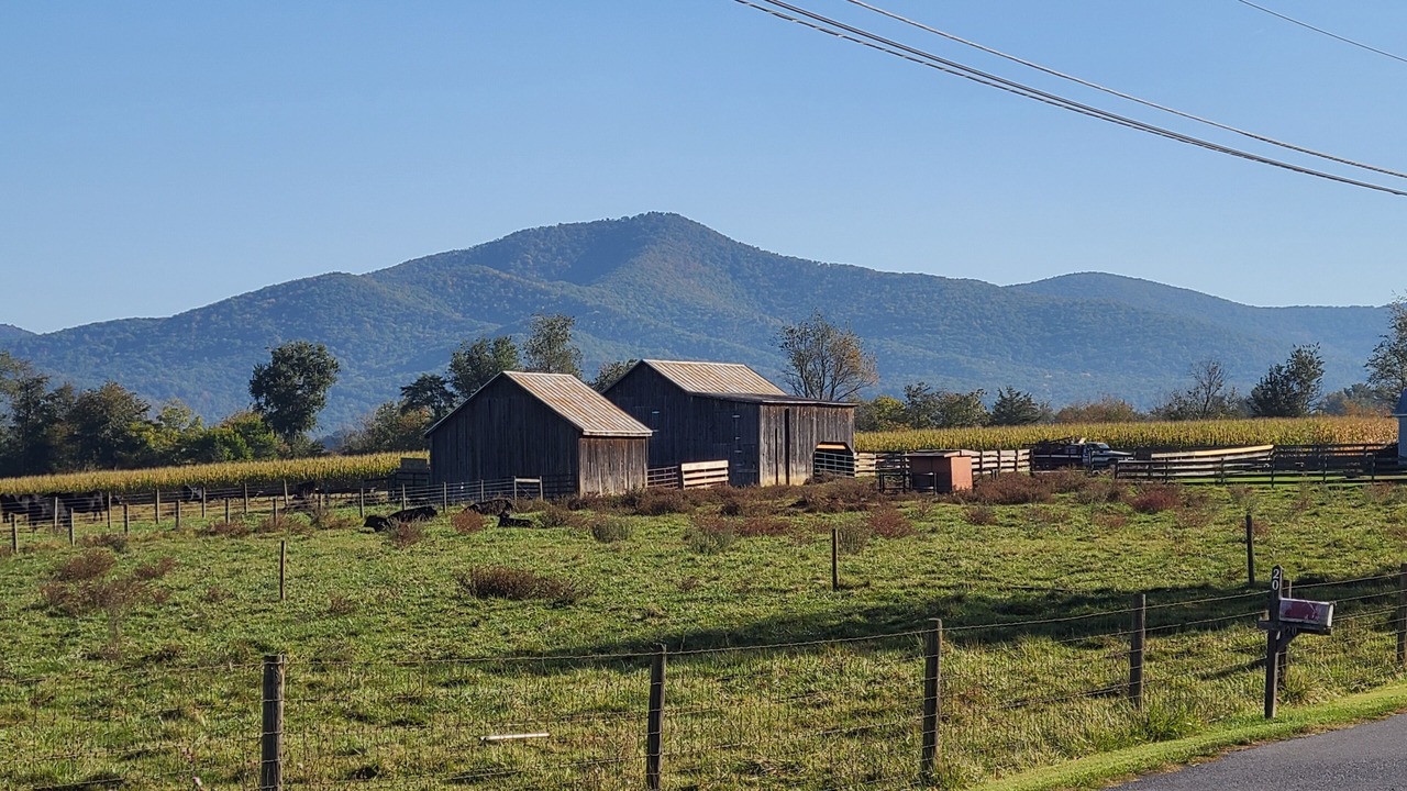 Photo of Outdoor in Luray