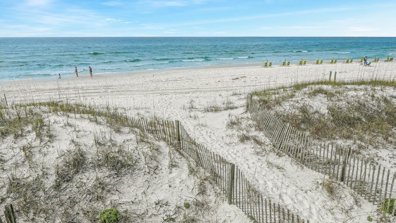 Photo of Others in Gulf Pines