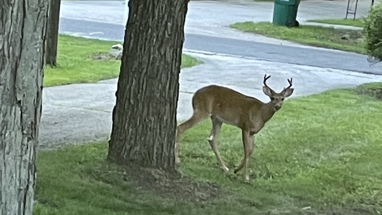 Photo of Others in Simonton Lake