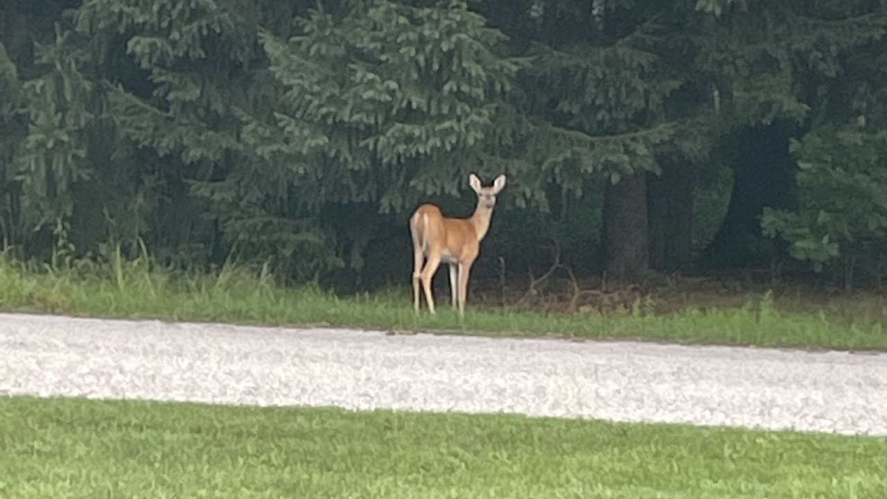 Photo of Others in Simonton Lake