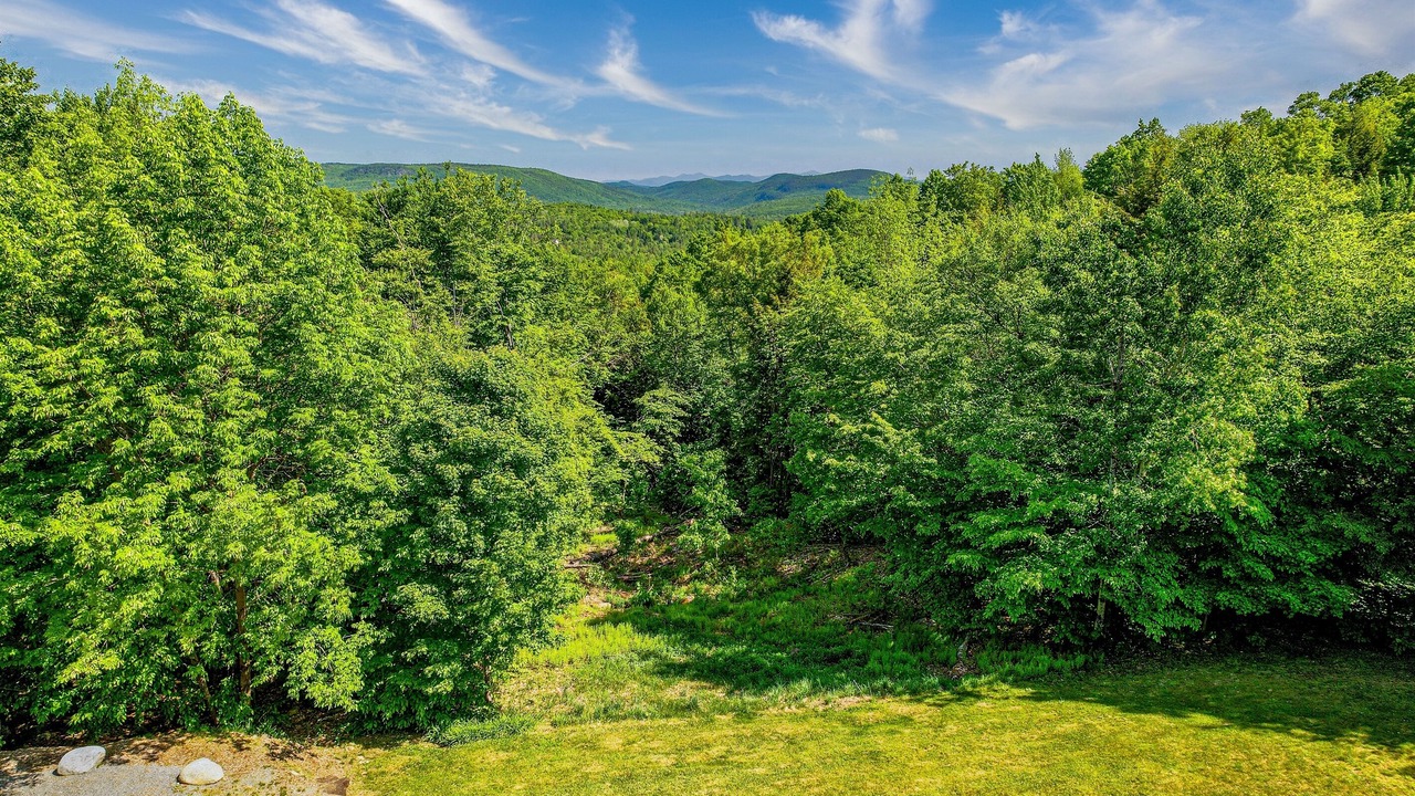 Photo of Outdoor in North Creek