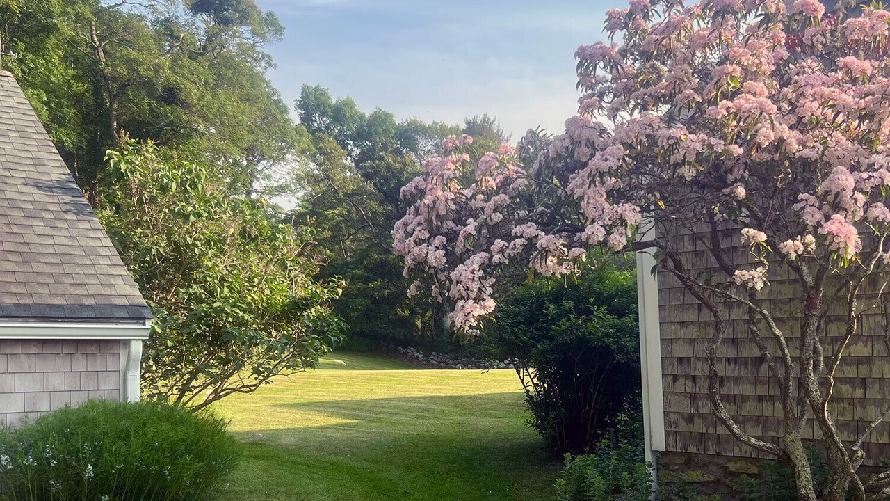 Photo of Outdoor in West Tisbury