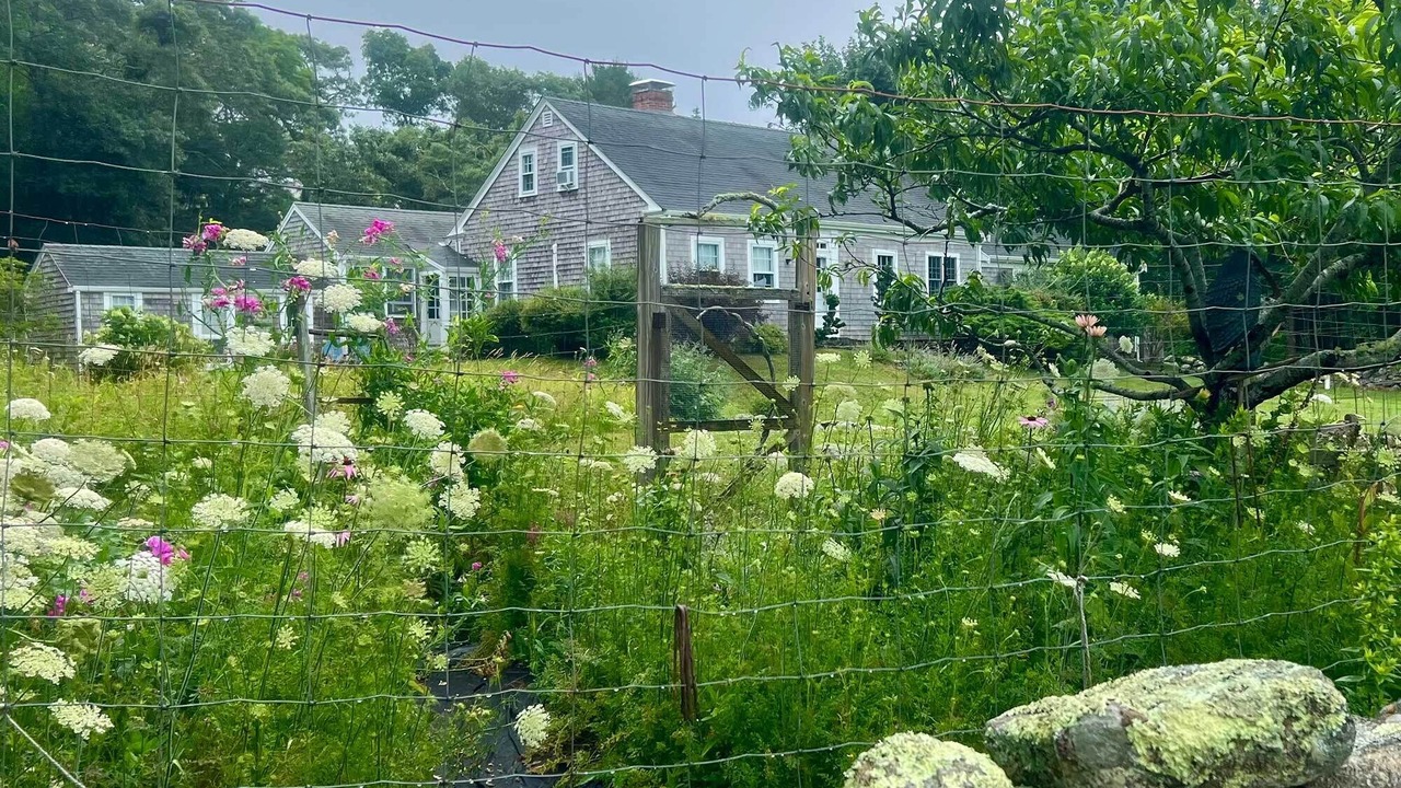 Photo of Outdoor in West Tisbury