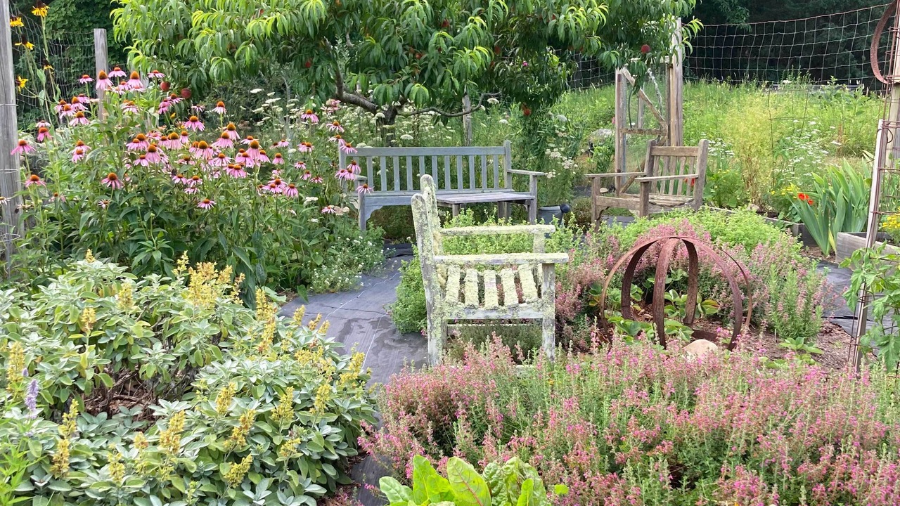 Photo of Outdoor in West Tisbury