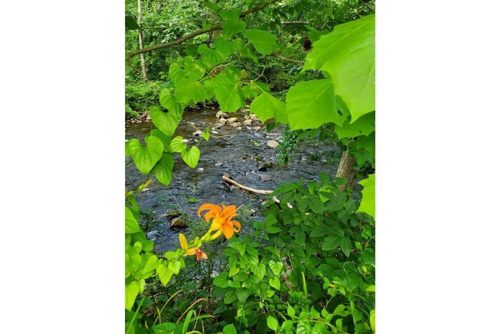 Photo of Outdoor in Etlan