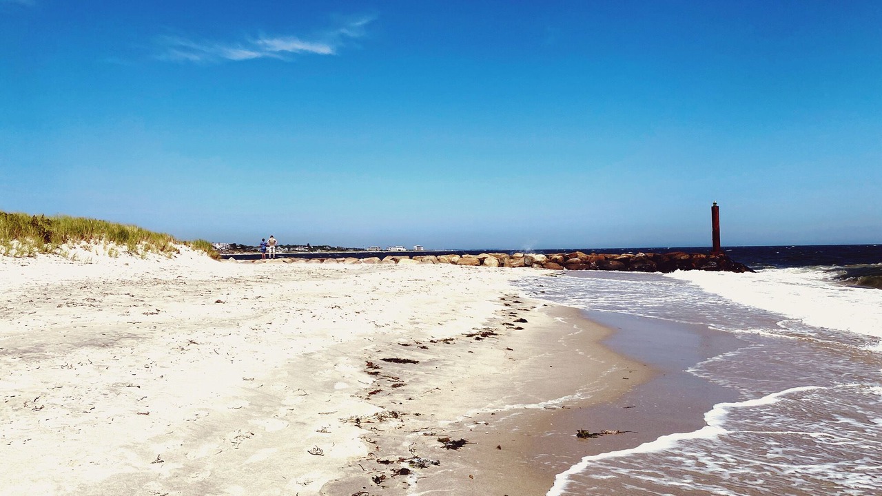 Photo of Others in West Harwich