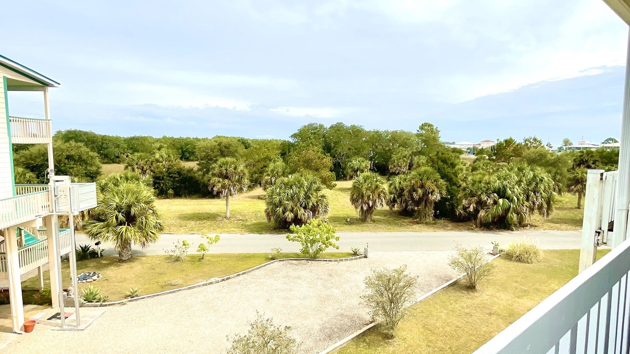 Photo of Outdoor in Crawfordville