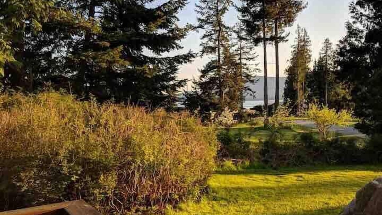 Photo of Outdoor in Lummi Island
