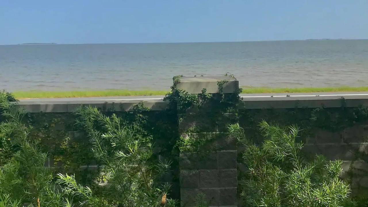 Photo of Others in Carrabelle