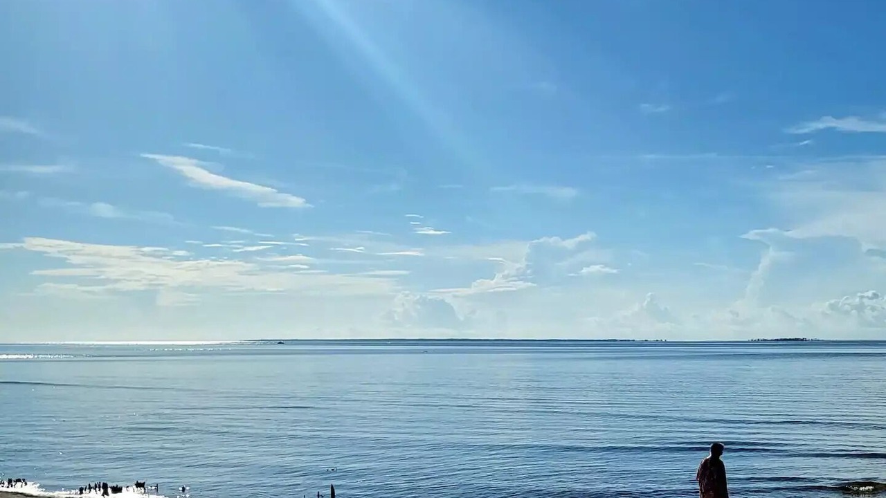 Photo of Others in Carrabelle