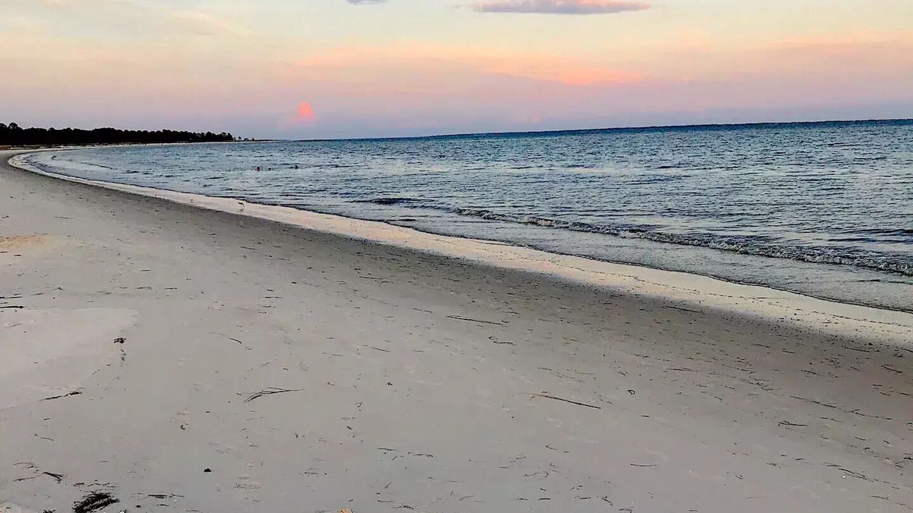 Photo of Others in Carrabelle