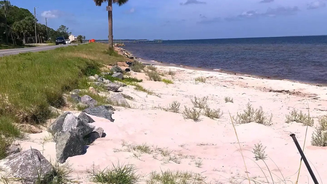 Photo of Others in Carrabelle