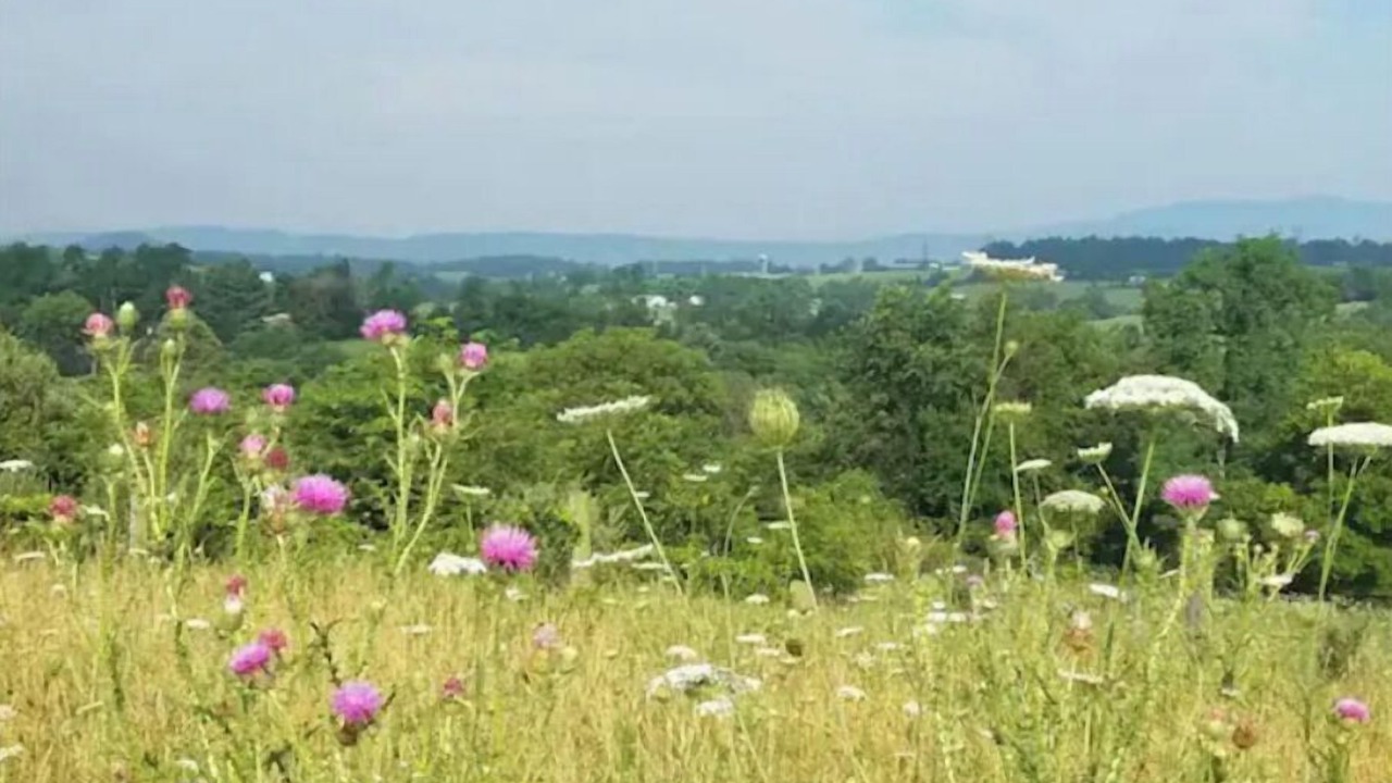 Photo of Outdoor in Staunton