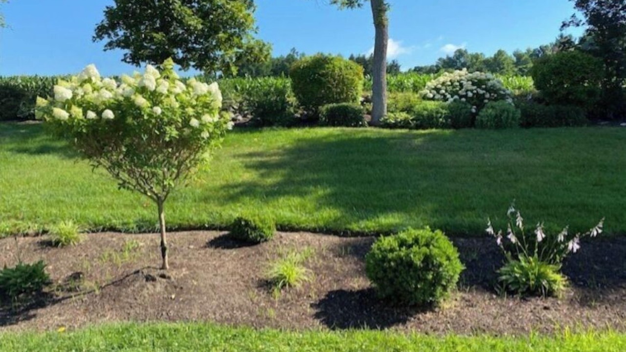 Photo of Others in Hollowville