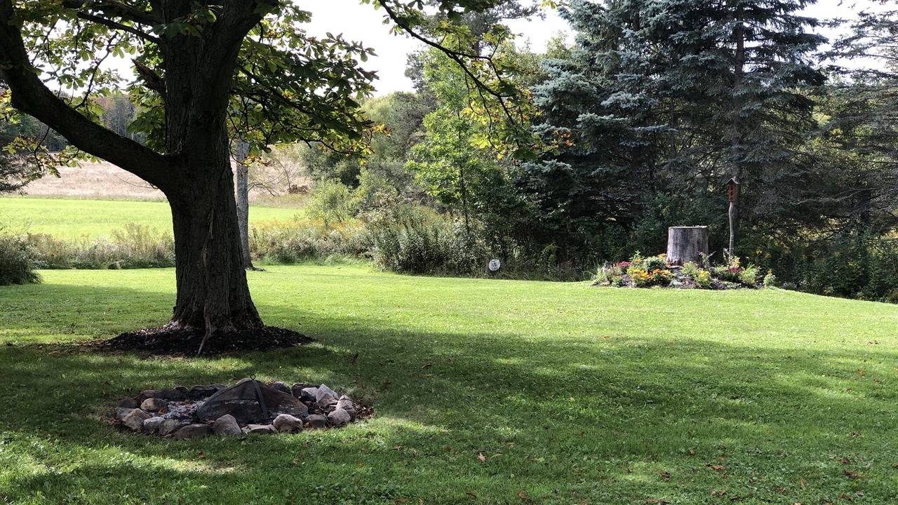 Photo of Outdoor in Wales Center