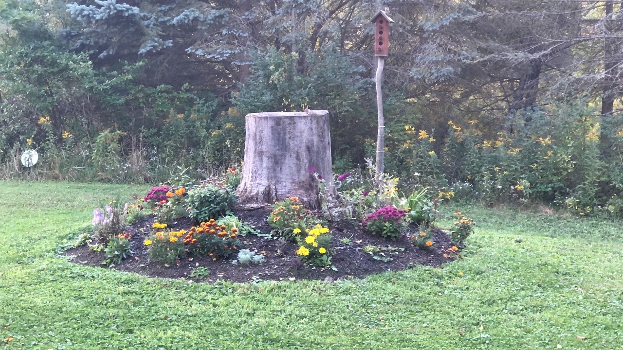 Photo of Outdoor in Wales Center