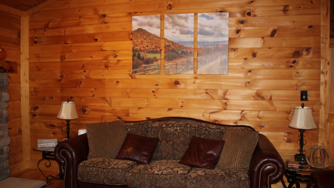 Photo of Livingroom in Emory