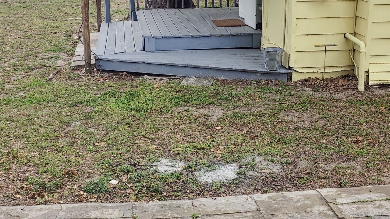 Photo of Outdoor in Brooksville