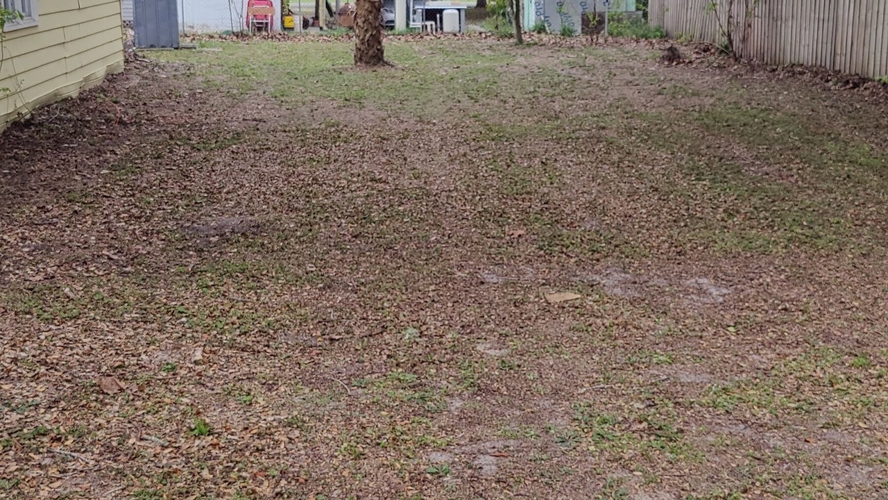 Photo of Outdoor in Brooksville