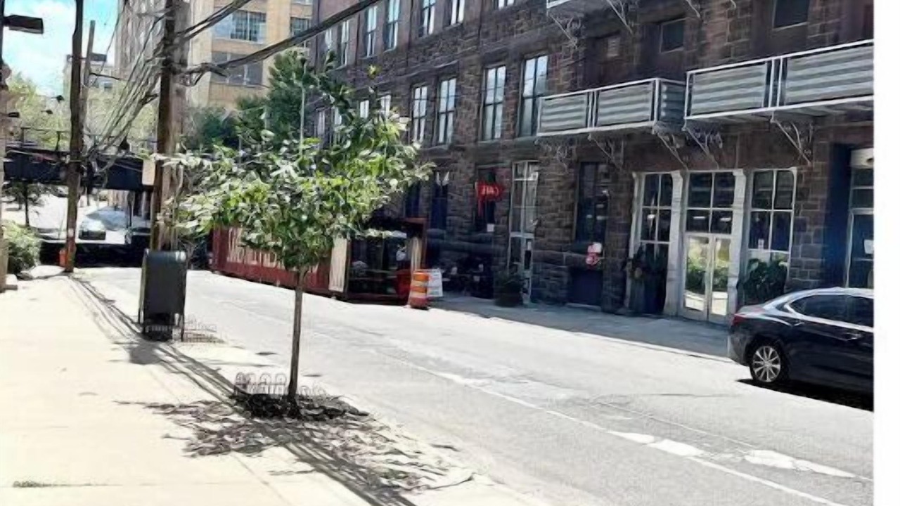 Photo of Others in Spring Garden