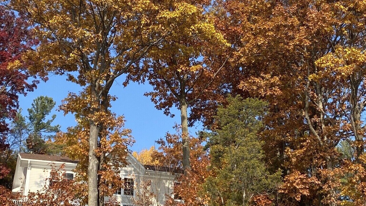 Photo of Outdoor in Skaneateles