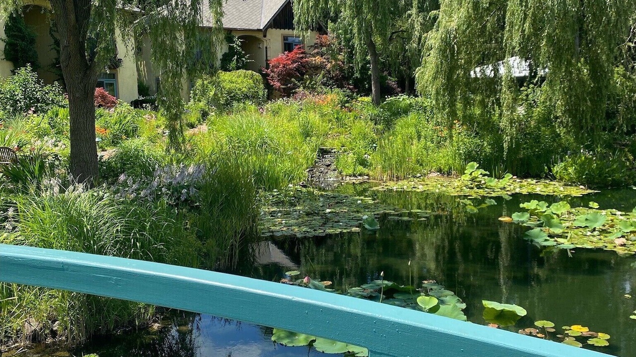 Photo of Others in Skaneateles