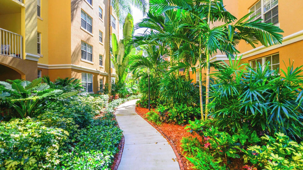 Photo of Outdoor in Aventura