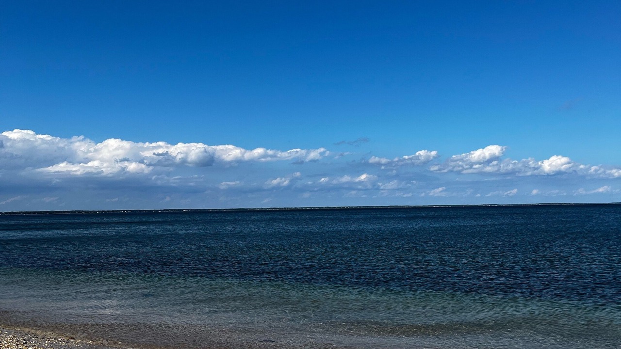 Photo of Others in Hampton Bays