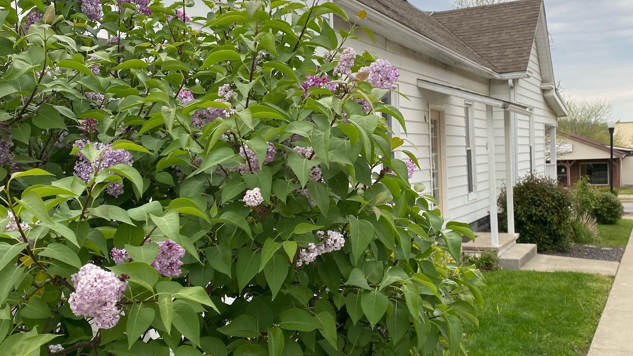 Photo of Outdoor in French Lick